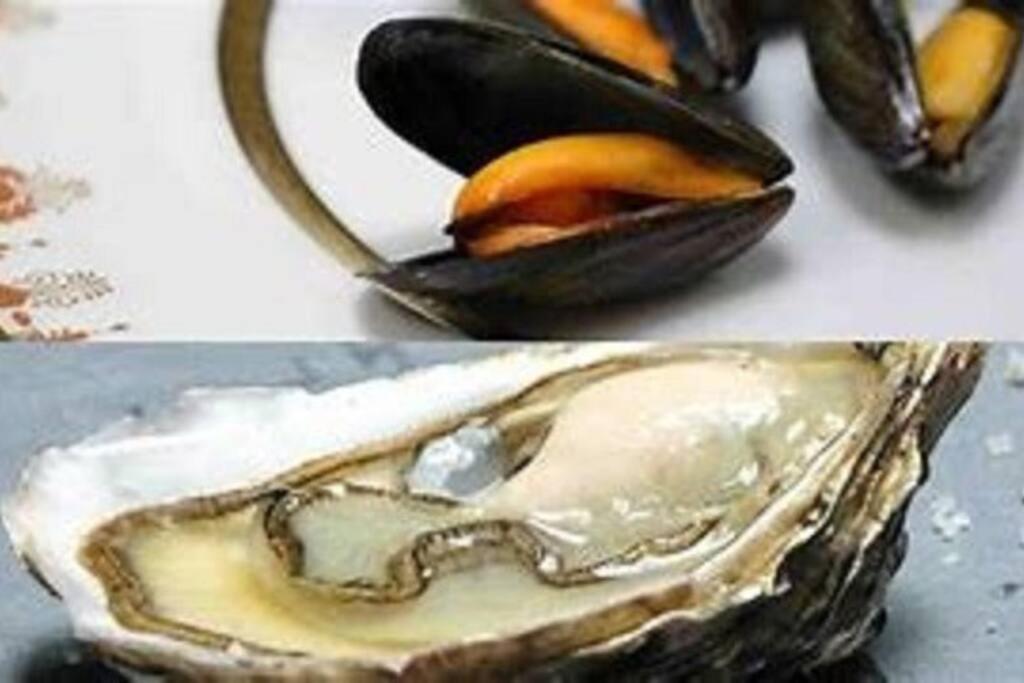 뽕또흑송 Gite De L'Abri-Cotier 14 빌라 외부 사진